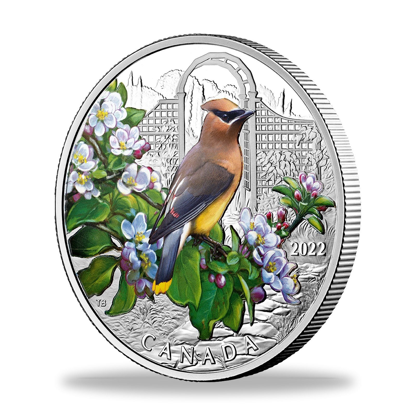 2022 $20 Colourful Birds: Cedar Waxwing 1 oz Silver Coin, reverse, angled view