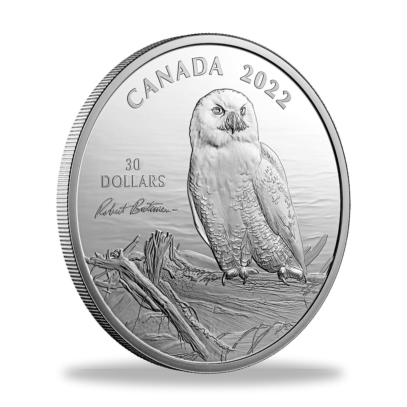 2022 $30 Snowy Owl on Driftwood by Robert Bateman 2 oz Silver Coin, reverse, angled view