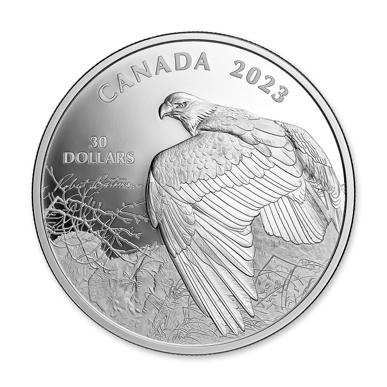 2023 $30 Vantage Point – Bald Eagle by Robert Bateman 2 oz Silver Coin, reverse (design side)