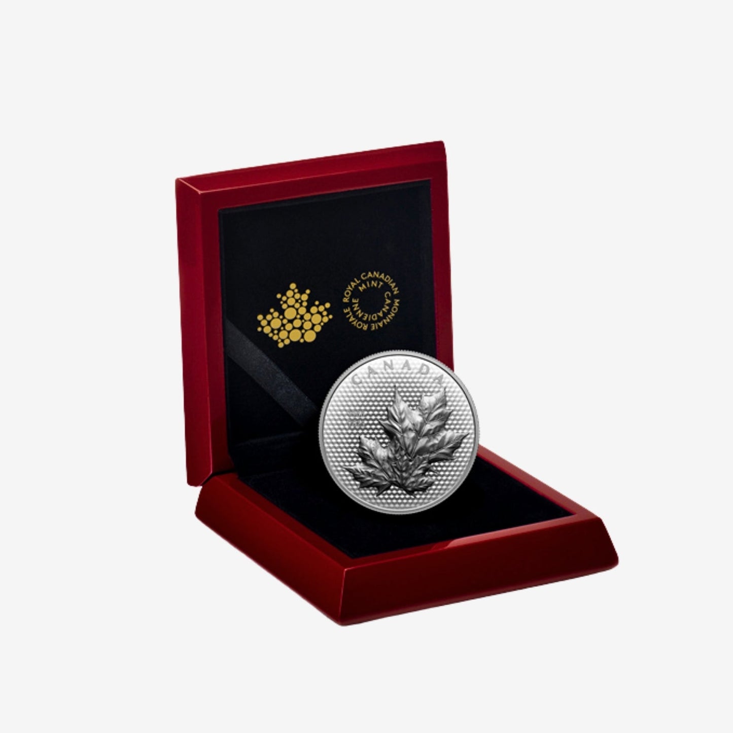 2023 Maple Leaves in Motion 5 oz .9999 Silver $50 (Canada) - Canada Coin Vault - Canada Coin Vault